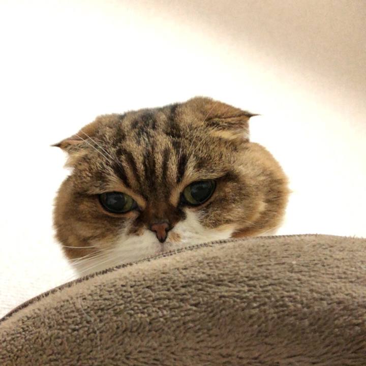 93da044d 8f13 4994 a886 efcd7c0c7d2e 1542639979013