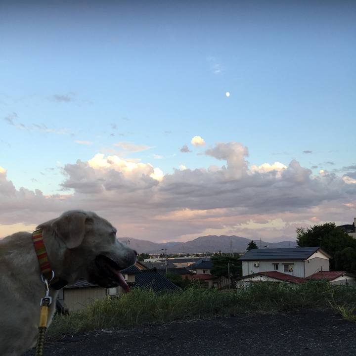 93da04b8 fa37 466b a9e5 72452300a49a 1534931393468