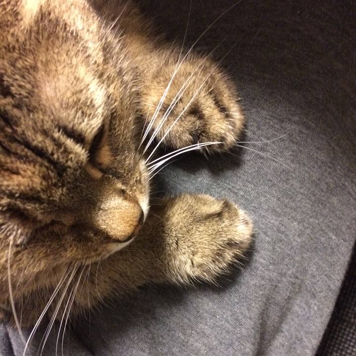 93da1b71 4338 41e2 96cf cf26e540dfd6 1582201182047