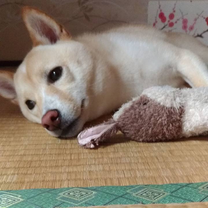 93da2ed5 b45d 4852 9e2e 94d24febfdeb 1533512484022