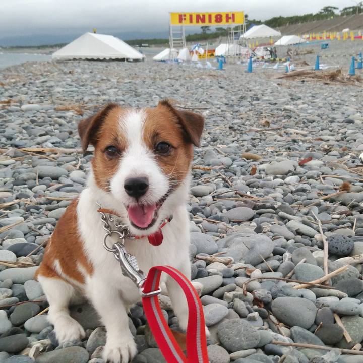 93da5124 0660 43ee ab9a 3cbc0e50c084 1532170164568