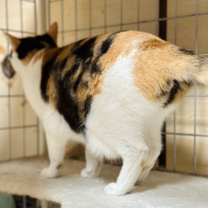 93daa986 d011 4079 9893 ea66eccbad0e 1667353275992