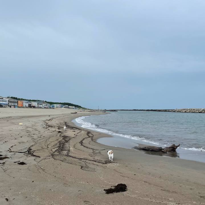 93dab0be cf0a 4dee b497 3aede8a2999c 1719963874699