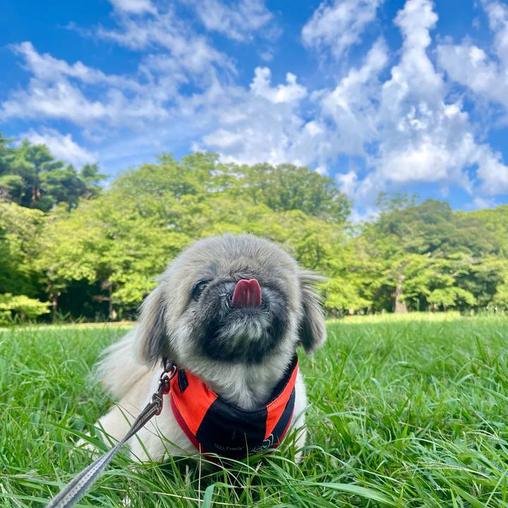 93db3503 4ac4 43c0 a3d0 6f104fa0f695 1754607770976