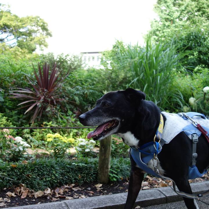 93db7215 df63 4179 8d39 5d950ce3b129 1751068283068