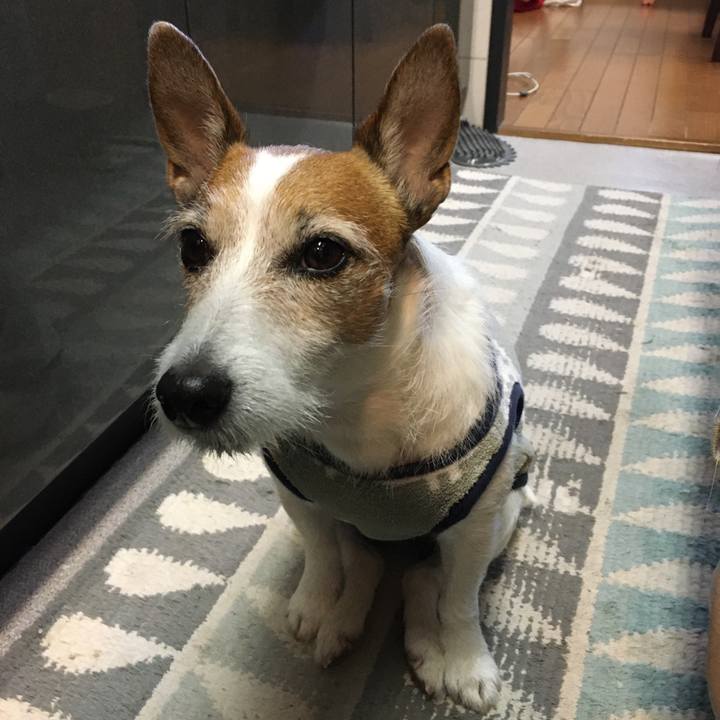 93db7bdc 24fb 44e5 a98b 74774b128411 1612481380940