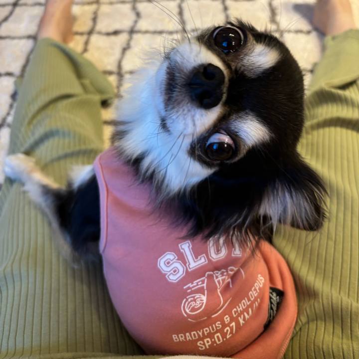 93db7d4d 0d7e 41de bee3 ae729b2a61b9 1733069222403