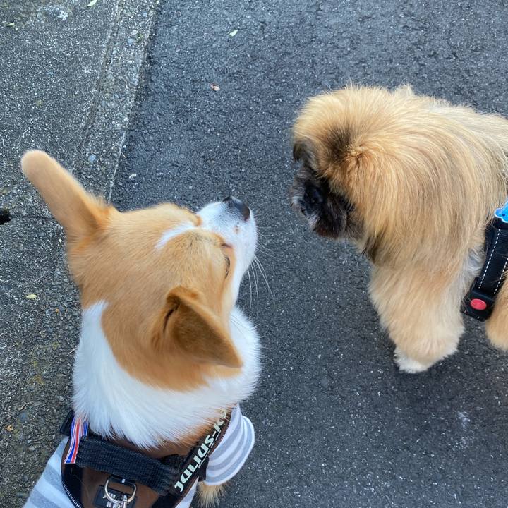 93db83d2 af01 41cc 8f9f a240035247be 1637290926939