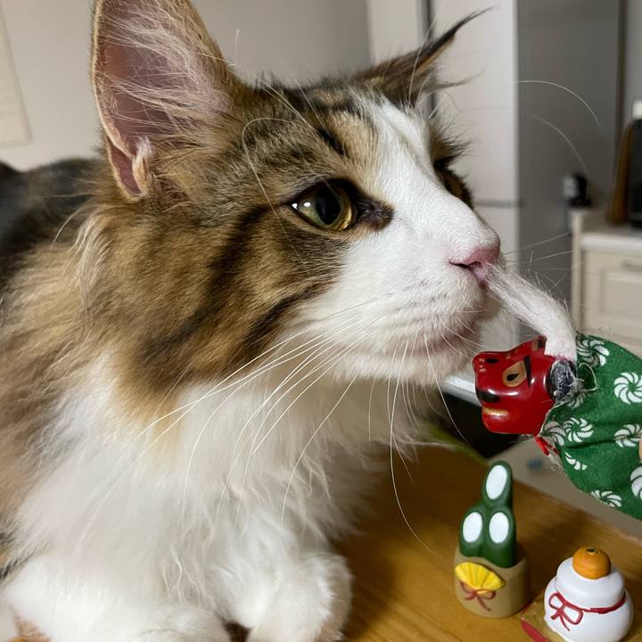 93dba235 1c42 45f1 9fc2 ed790cf9dc79 1641072591083