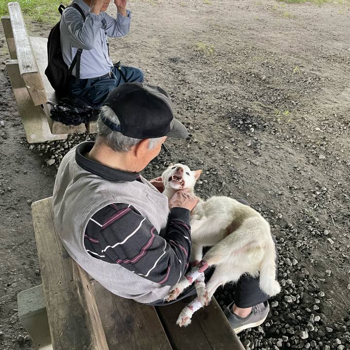 93dc19a2 a72e 459b bf08 d569ffc0bcc8 1685358019203