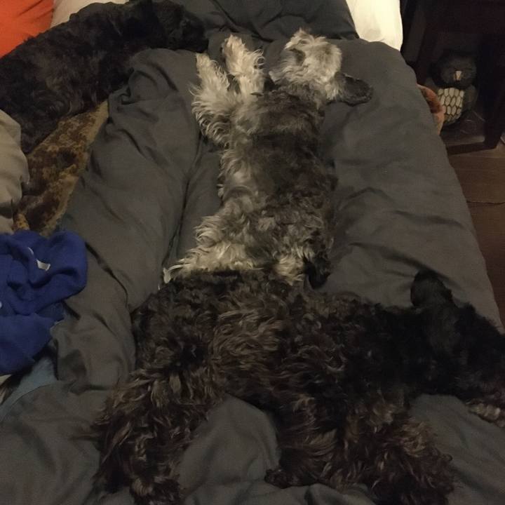 93dc26b4 5b33 4645 a7a8 97e2c924e594 1588431751298