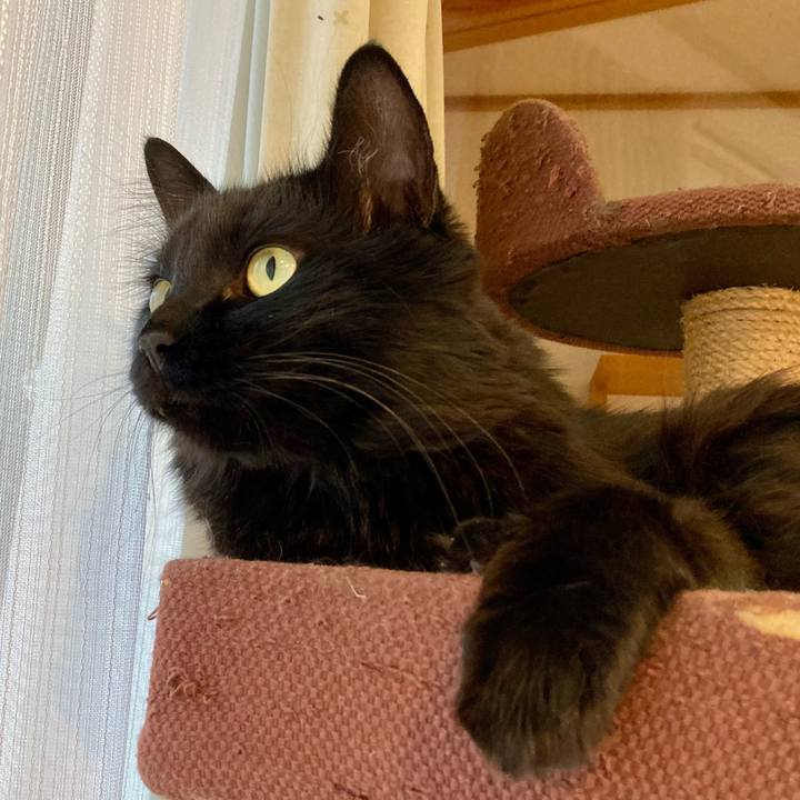 93dc4e9c aab5 49c1 9036 0806083ccbf1 1757456167689