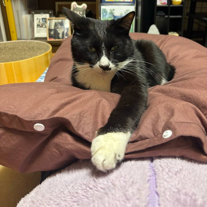 93dc4f5c b972 47ab 864f 555e840cb8ee 1774227575716