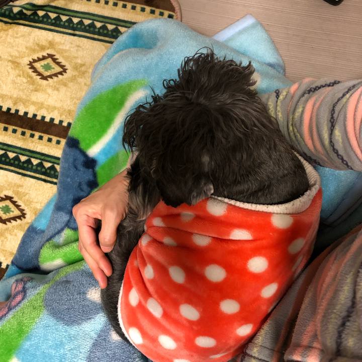 93dc6936 dde6 4c76 8ff7 3fbfe5643e1d 1608561804988