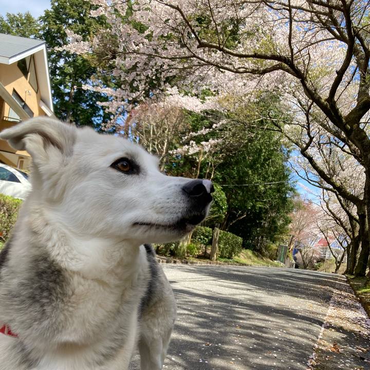 93dc719f 842d 4080 92b5 54d112d44276 1649337773233