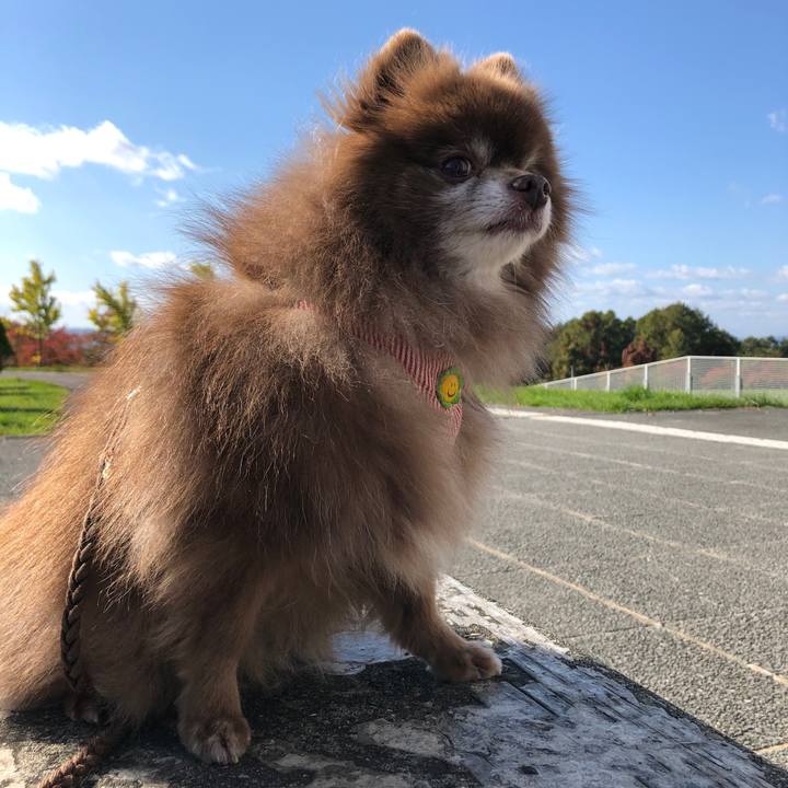 93dc7a57 f312 49e5 a790 1dc5c6af15ee 1635045985149