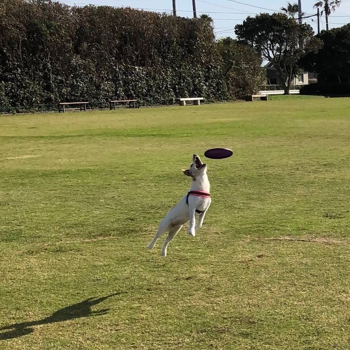 93dc9574 eb41 411b af8a 8d222819d0e9 1541931303460