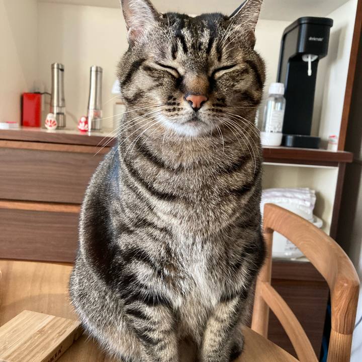 93dca013 5a31 4859 b76e b9fc579f3972 1638449046520