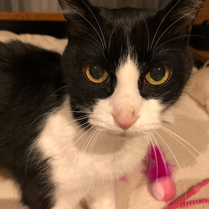 93dcb6b5 f58c 477a bf82 3925d2ea5830 1586072864109