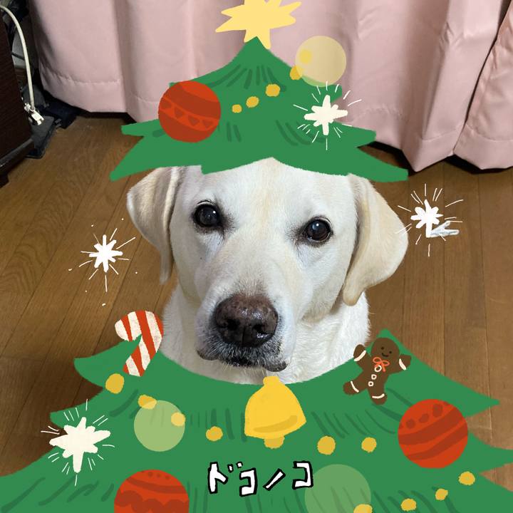 93dcf0f0 fd71 4719 86f7 8316e2e50959 1764205487382