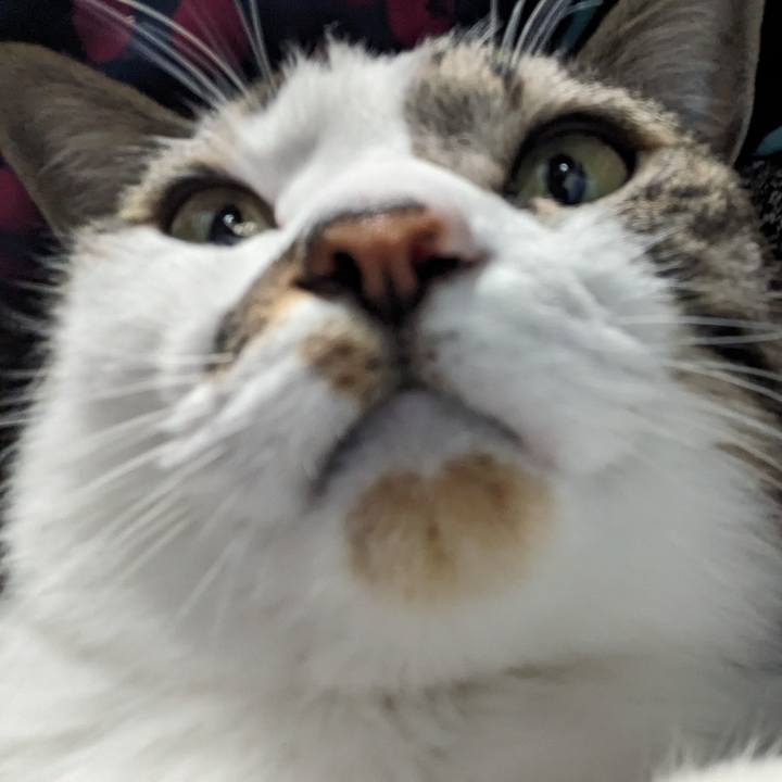 93dcfe33 2b28 4d4f 8fe6 01c6679e5805 1710910565179