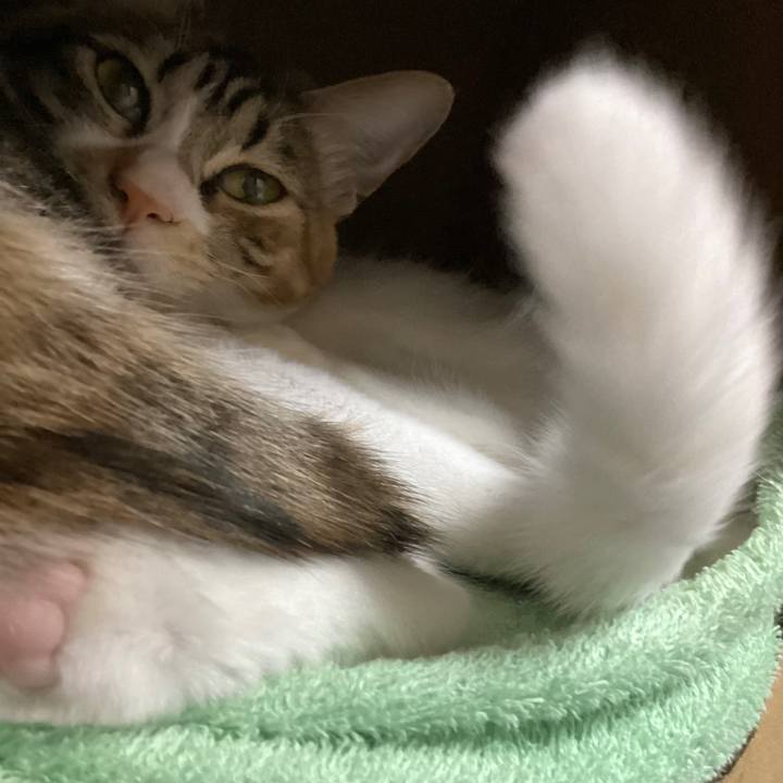 93dd07e0 98c1 4a99 80bd 9b9f1a45849b 1675375340733