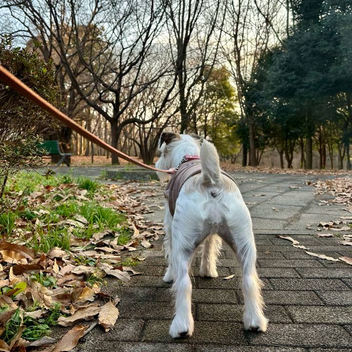 93dd0dff fdd5 4c93 b1ed 053e0c371683 1704022231257