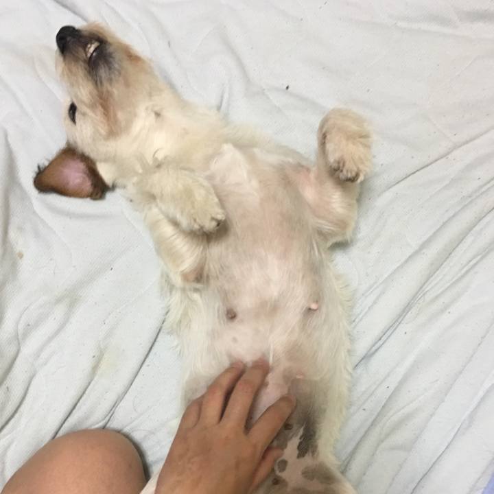 93dd21e0 d104 4af5 9604 c5889b18e828 1564698572223