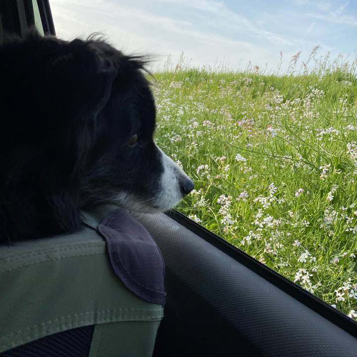 93dd3771 b591 43e0 8a72 9663cf92f300 1681114230282