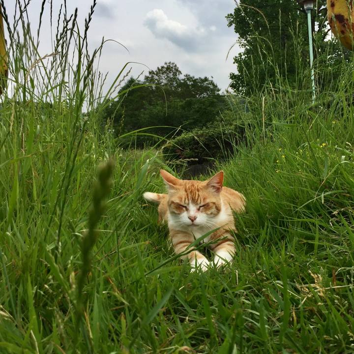 93dd7ef4 86ba 4e92 8c8a 8cab4c5719e0 1559396245650