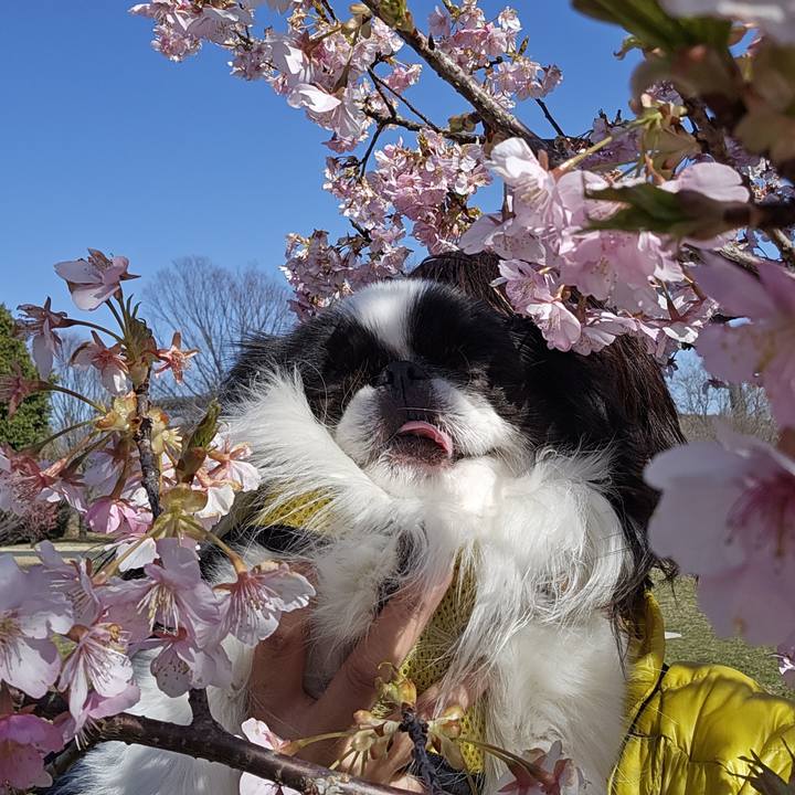 93dd7f54 2f1b 426a bfde 2e9a844785b5 1710413803538