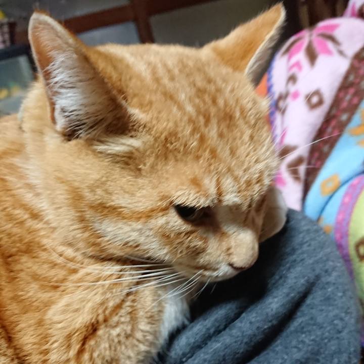 93dd99b7 5a1a 47e2 b90a d38e8e0bc8c0 1585431386727