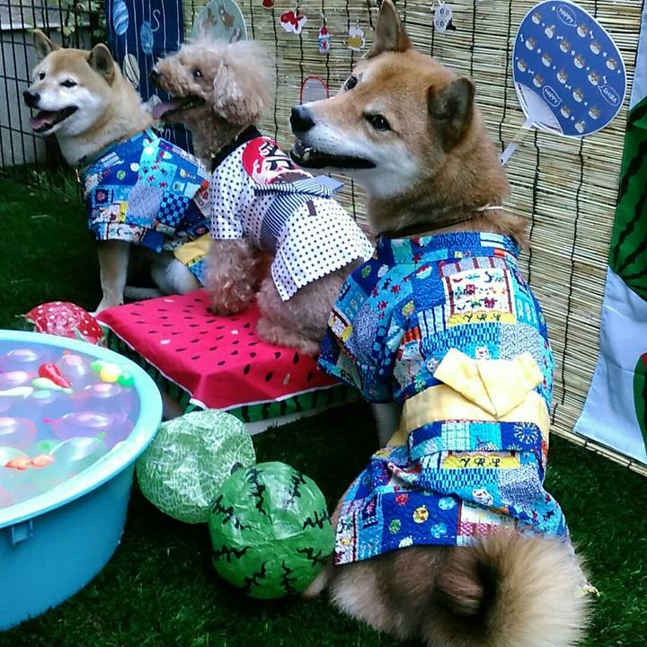 93ddbfe3 b78e 4d2f 8c1f a1e7e3cc53bc 1533380300817