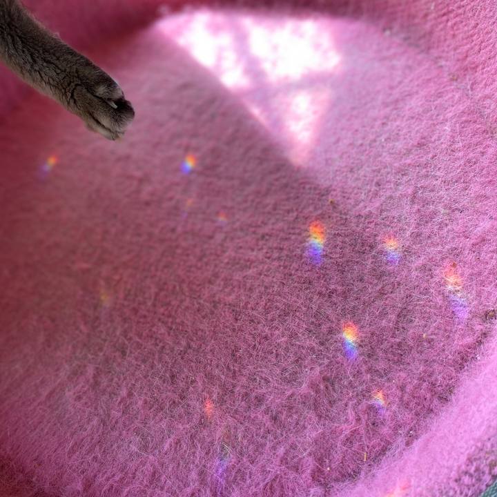 93ddc962 0237 436e 9388 8723648e2d36 1601351859006