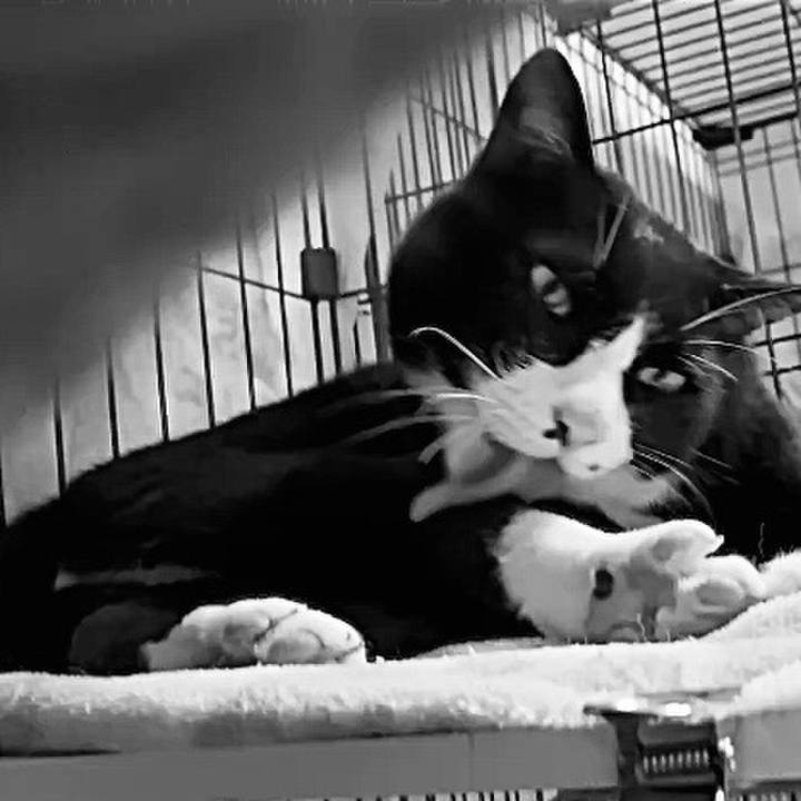 93ddedb0 e0b5 436b 9f15 c013151152dc 1750239024402