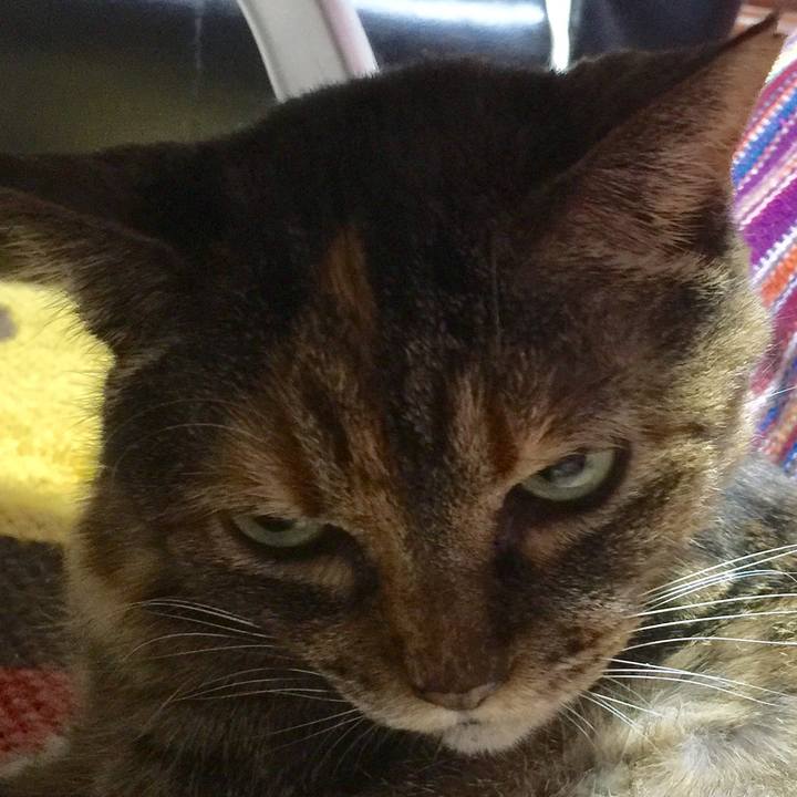 93de4623 19e0 432b 8828 736778a6bd19 1514882030627