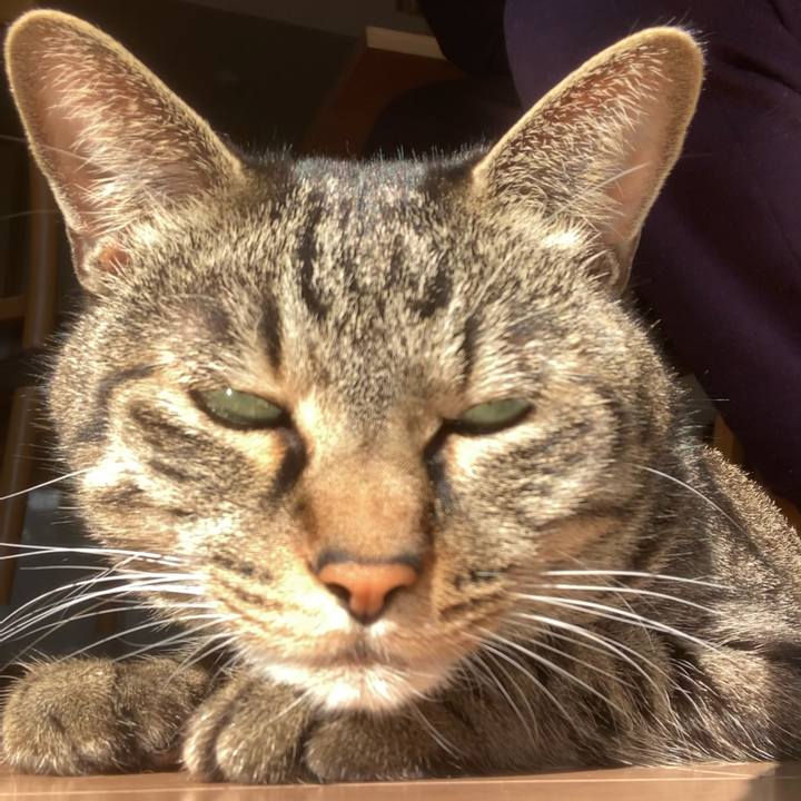 93de6826 b96e 40e6 8843 5cfcc8308f31 1613446239820