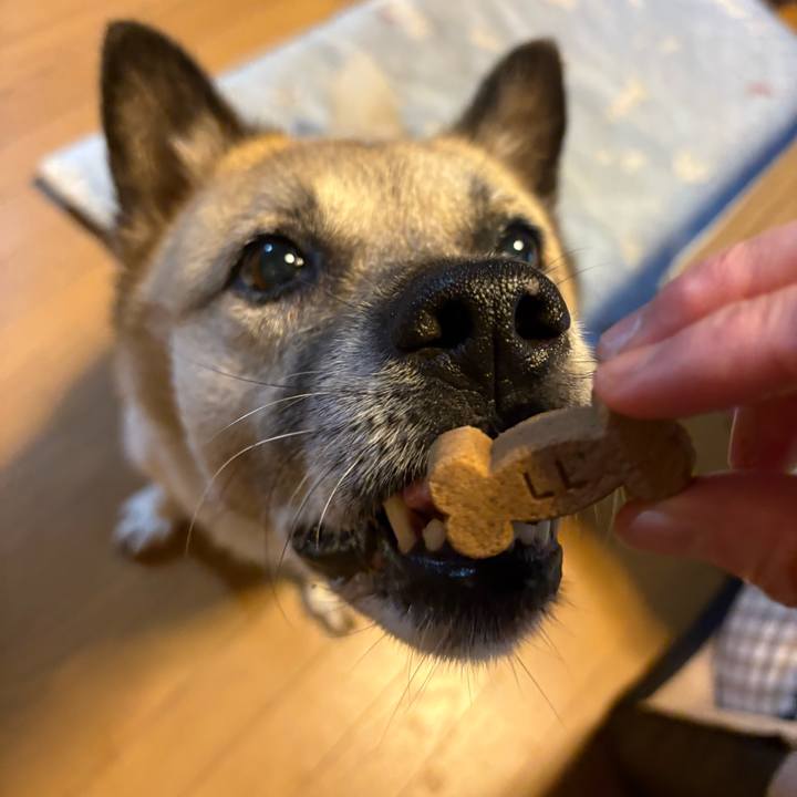 93dec07a d37d 4630 9b65 541a442a8d9b 1754568914790