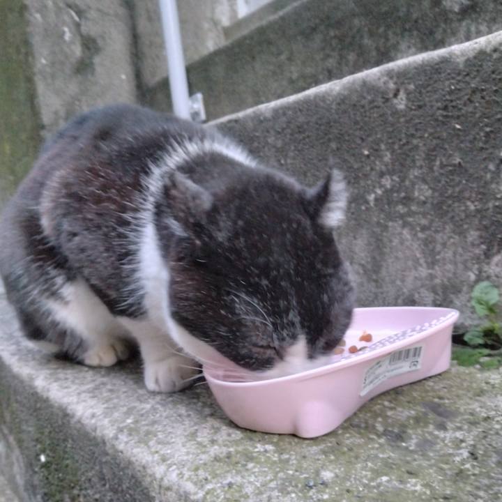 93dec194 a204 46a8 a989 7aea65b003ea 1705414509024