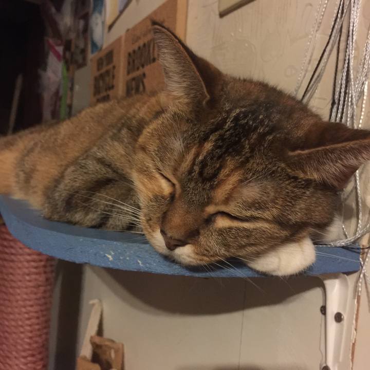 93df041f dc16 464d a6d1 2e26e437b263 1569682650934