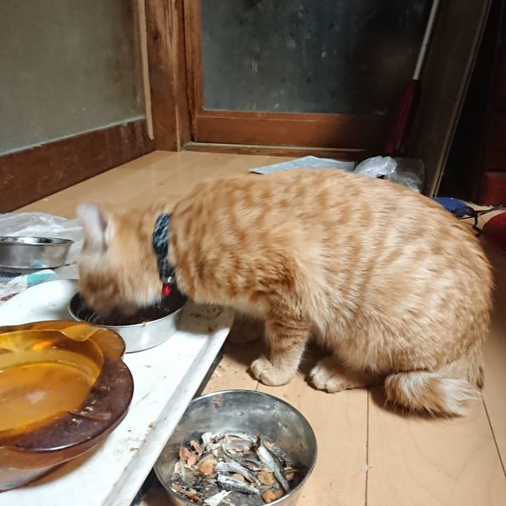 93df0657 29f3 4c9d 9303 128e3d44d543 1636576448966