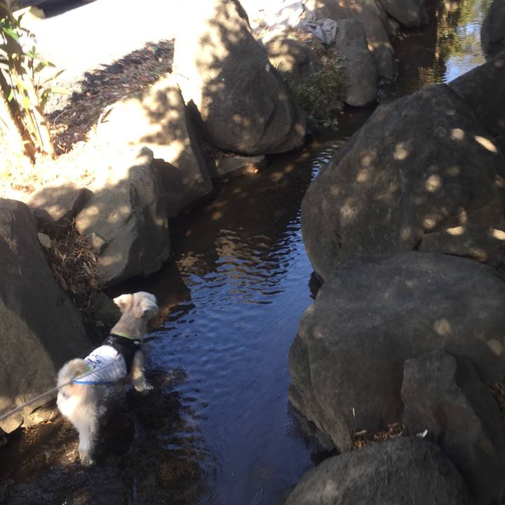 93df0cbb 0314 46df ac90 3bcc63f50e38 1540206567216