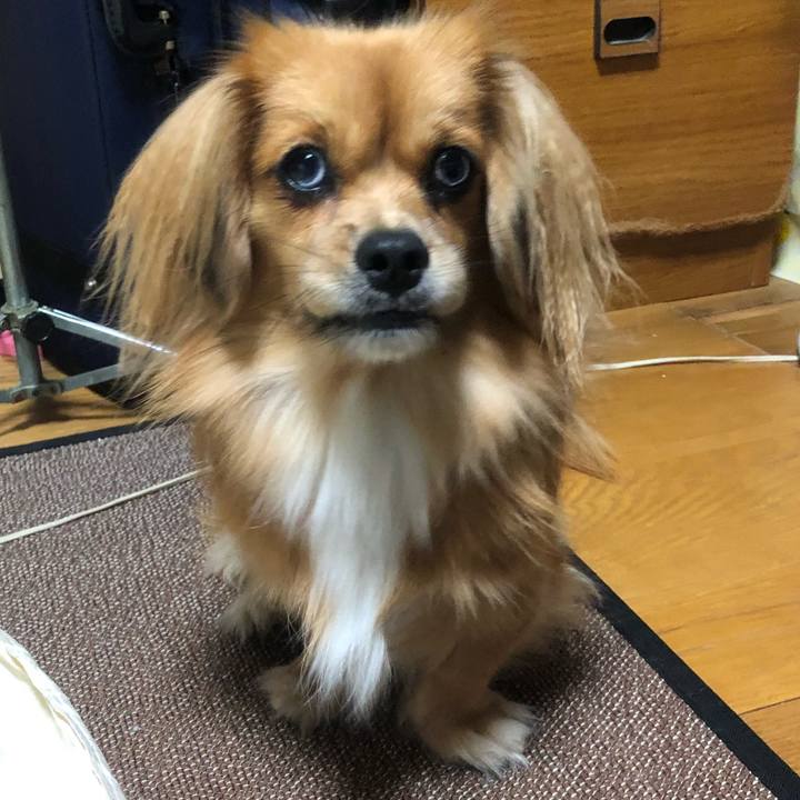 93df32d3 437b 4097 a815 665393532937 1538262540895