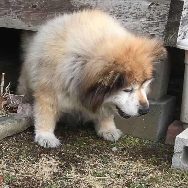 93df359e 4b8c 477b b277 26f4c7262c0b 1607049668333