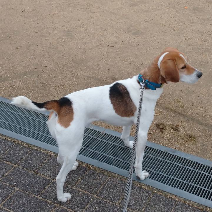 93df3901 3183 4aa6 8bb7 0f1f08c4be68 1615557256401