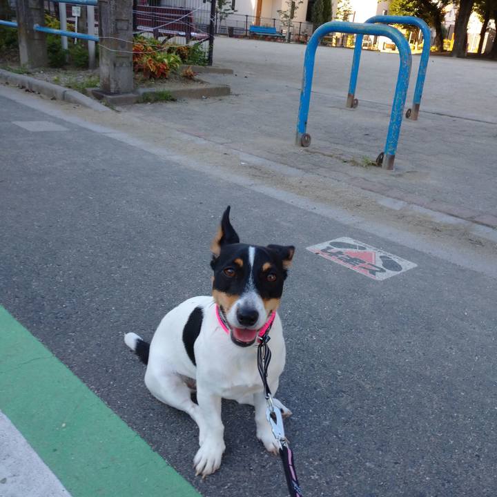 93df6f8c b7f1 4819 b331 c7cdcaddf253 1564099276256