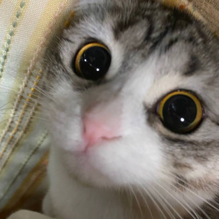 93df7bfa 6981 4582 976b bbfc3a2bb5a9 1613177436939