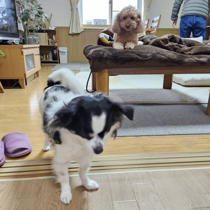 93df9b3a 0047 4360 b895 2c453fd3a40f 1767089558721