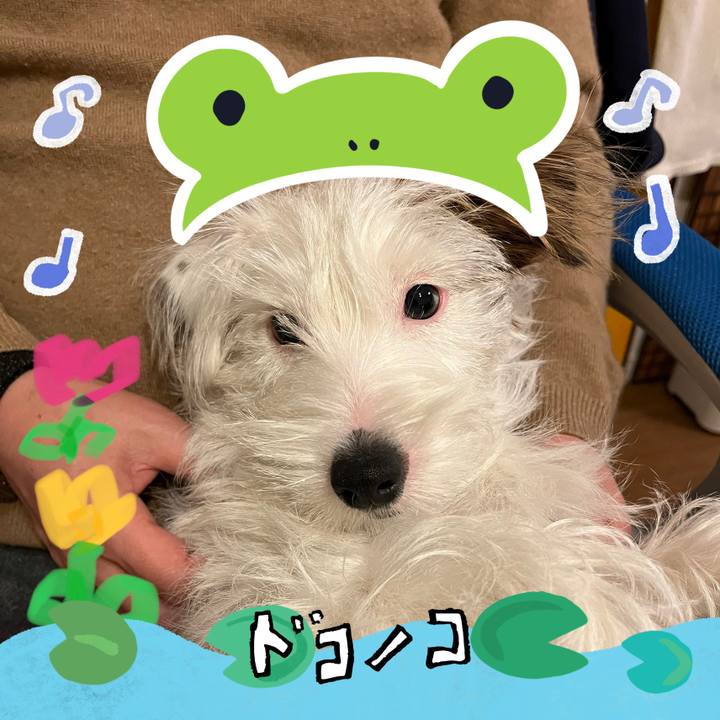 93dfa227 d797 4f7d a735 c7236412a510 1717599063526