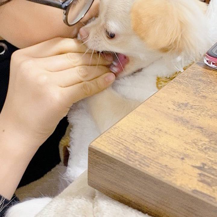 93dfaa5d 36e9 4b39 8c0e c8a376d14bc2 1607046609462